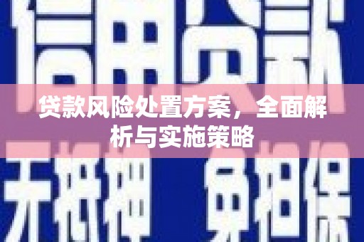 阜城贷款风险处置方案，全面解析与实施策略