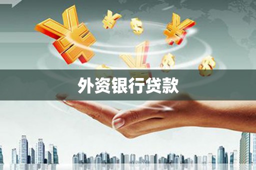 阜城外资银行贷款