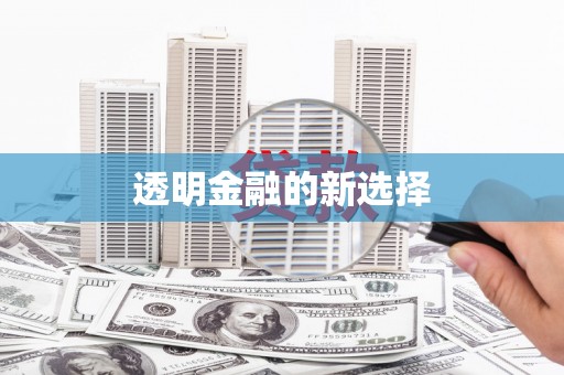 阜城透明金融的新选择
