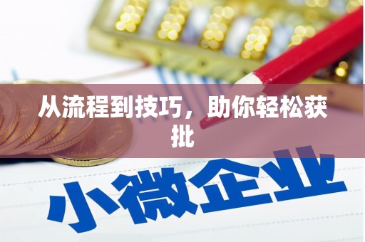 阜城从流程到技巧，助你轻松获批