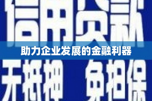 阜城助力企业发展的金融利器