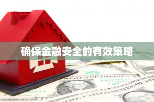 阜城确保金融安全的有效策略