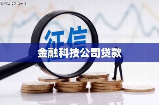 阜城金融科技公司贷款