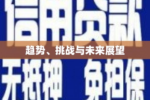阜城趋势、挑战与未来展望