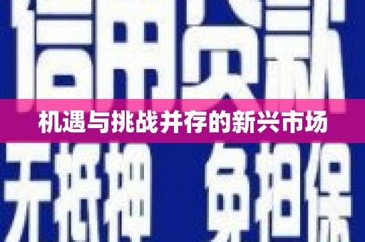 阜城机遇与挑战并存的新兴市场