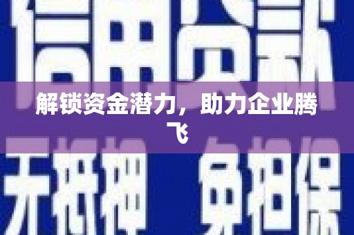 阜城解锁资金潜力，助力企业腾飞