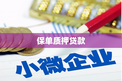 阜城保单质押贷款