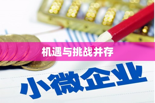 阜城机遇与挑战并存