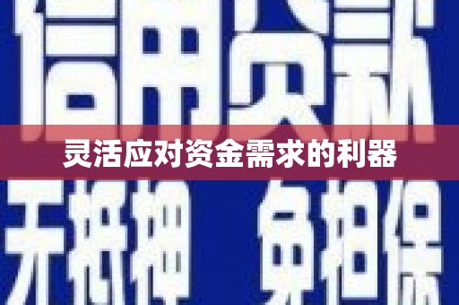 阜城灵活应对资金需求的利器
