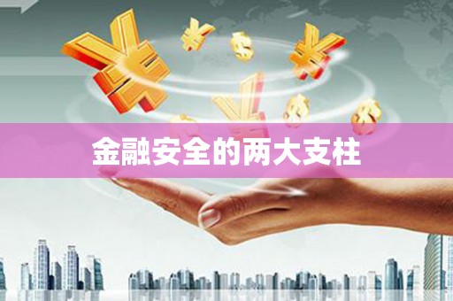 阜城金融安全的两大支柱