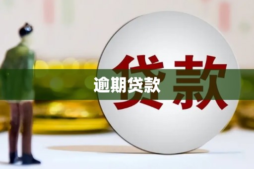 阜城逾期贷款