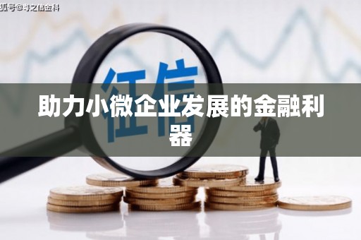阜城助力小微企业发展的金融利器