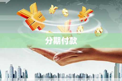 阜城分期付款