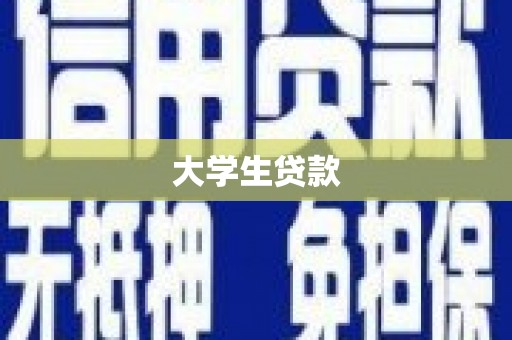 阜城大学生贷款