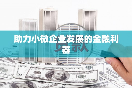 阜城助力小微企业发展的金融利器
