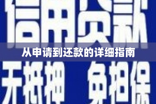 阜城从申请到还款的详细指南