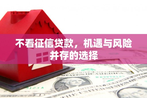 阜城不看征信贷款，机遇与风险并存的选择