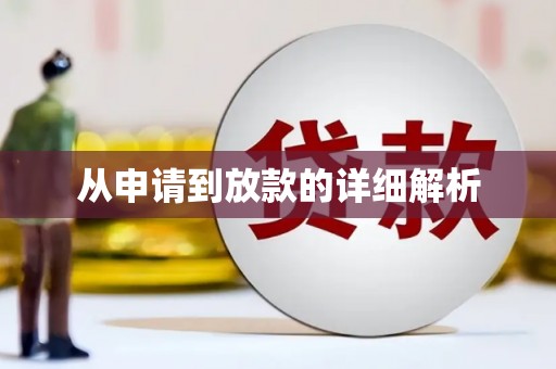 阜城从申请到放款的详细解析