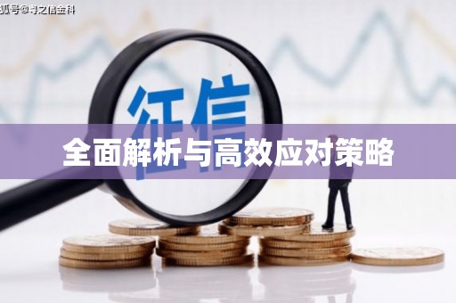 阜城全面解析与高效应对策略