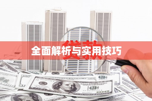 阜城全面解析与实用技巧
