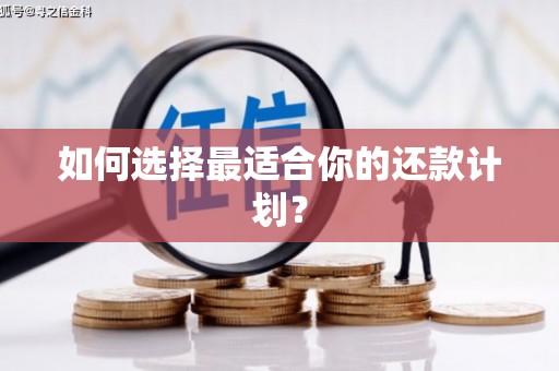 阜城如何选择最适合你的还款计划？