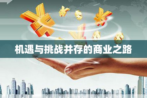 阜城机遇与挑战并存的商业之路