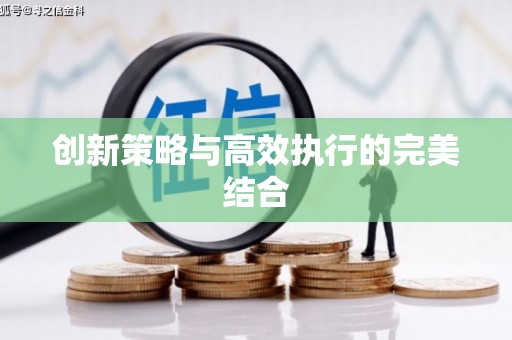 阜城创新策略与高效执行的完美结合