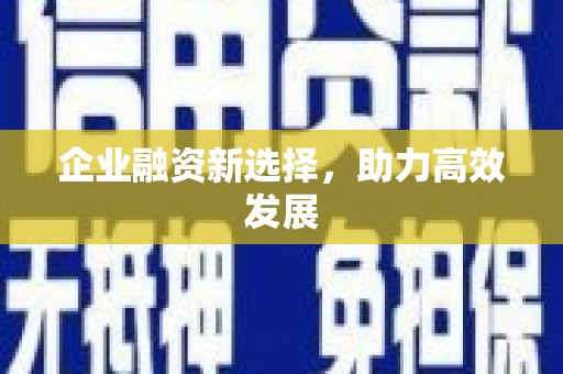 阜城企业融资新选择，助力高效发展