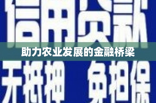 阜城助力农业发展的金融桥梁