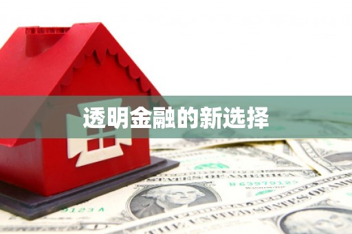 阜城透明金融的新选择