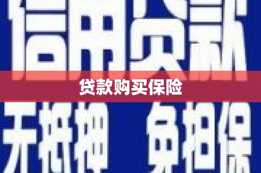阜城贷款购买保险