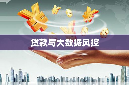 阜城贷款与大数据风控