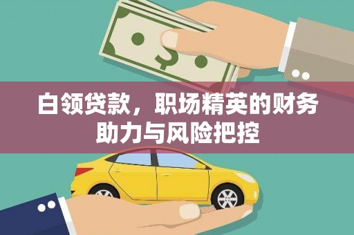 阜城白领贷款，职场精英的财务助力与风险把控