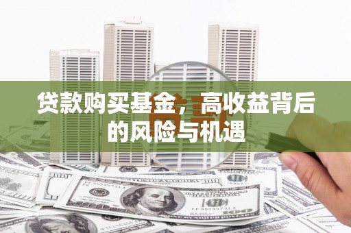 阜城贷款购买基金，高收益背后的风险与机遇